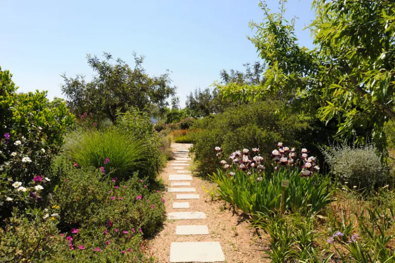 beautiful landscape mediterranean garden in spring 2025 03 08 12 09 33 utc 1 1