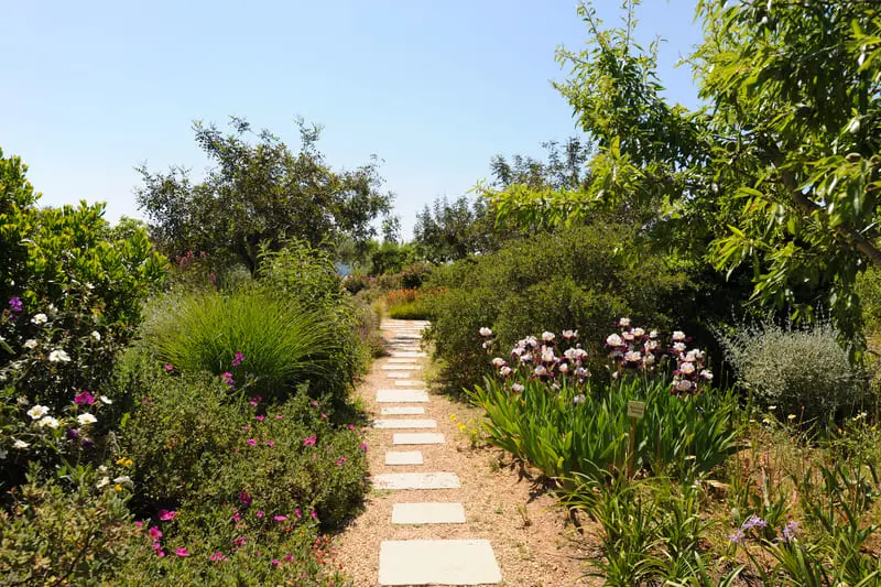 beautiful landscape mediterranean garden in spring 2025 03 08 12 09 33 utc 1 1